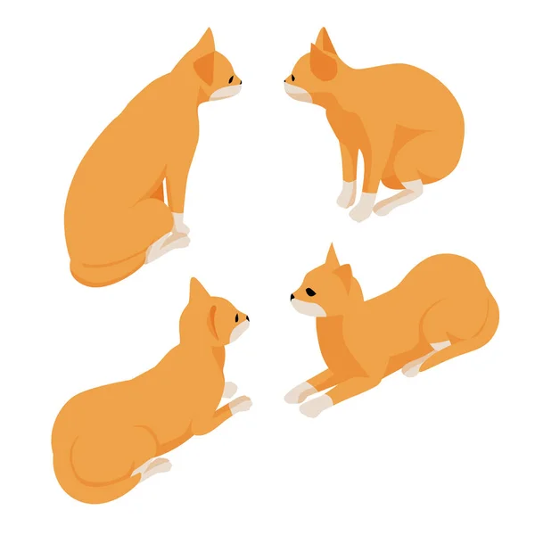 Isometrische rode kat geïsoleerd op witte achtergrond. Een gemberkat. Set van verschillende cartoon katten. — Stockvector