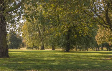Hyde Park Güz