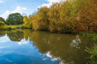 Bir su birikintisi Londra Park, İngiltere