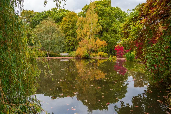 Rybník v Londýně Park, Velká Británie — Stock fotografie