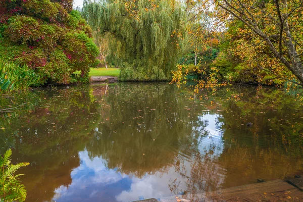 Een vijver in london Park, Verenigd Koninkrijk — Stockfoto