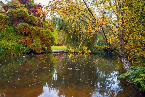 イギリスのロンドン公園で池 — ストック写真