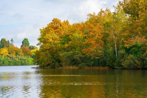 A lake in Virginia Water in Surrey, UK — Stock Photo, Image