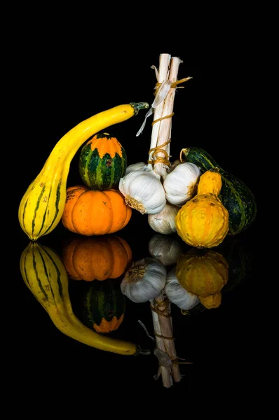 Una selección de verduras de otoño sobre fondo negro — Foto de Stock