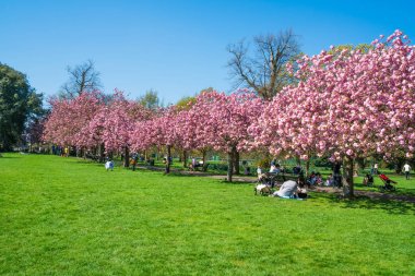 Bulunan Greenwich Parkı Londra İngiltere