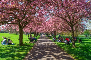 Bulunan Greenwich Parkı Londra İngiltere