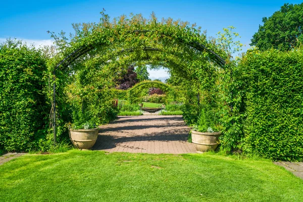 English garden in the summer