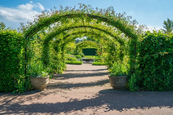 Engelse tuin in de zomer — Stockfoto