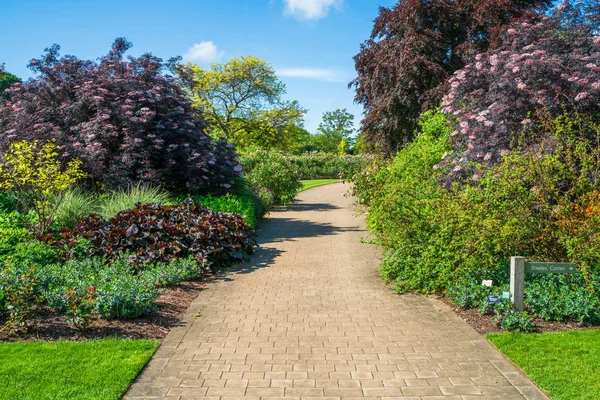 English garden in the summer