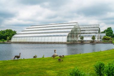 Glasshouse adlı Rhs Wisley, Surrey, İngiltere