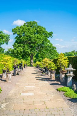 Wisley, Surrey, İngiltere'de, İngiliz Bahçesi