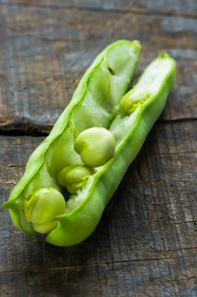 Una vaina de haba fresca - primer plano con enfoque selectivo — Foto de Stock