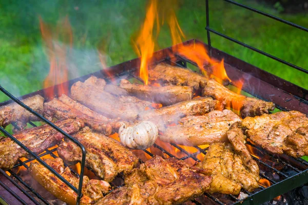 BBQ in the garden - selection of meat on flaming grill — Stock Photo, Image