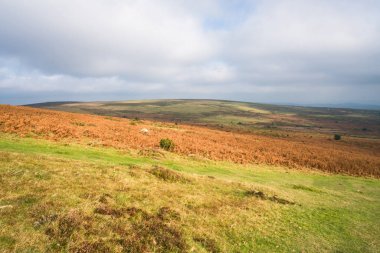 Dartmoor ve Haytor Güney Devon sahilden görüntülemek
