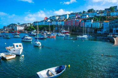 Brixham Marina görünümü