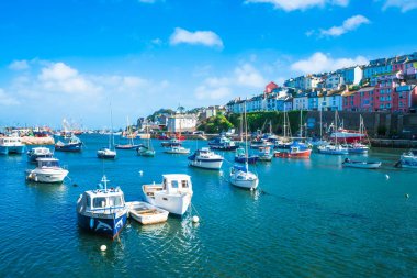 Brixham Marina görünümü