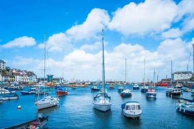 Brixham Marina görünümü