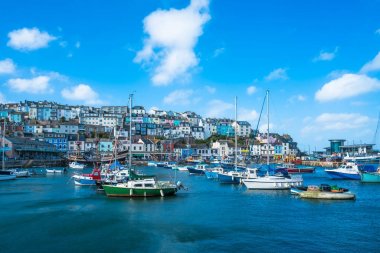 Brixham Marina görünümü
