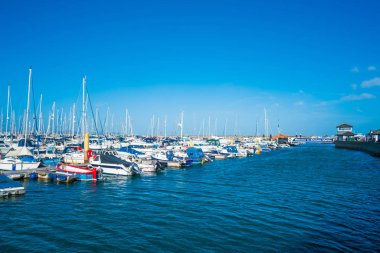 Brixham Marina görünümü