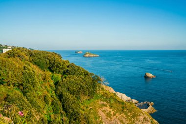 Sahil ve deniz Torquay, Güney Devon