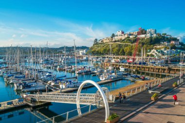 Güney Devon, İngiltere Torquay limanının görünümü