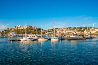 Güney Devon, İngiltere Torquay limanının görünümü