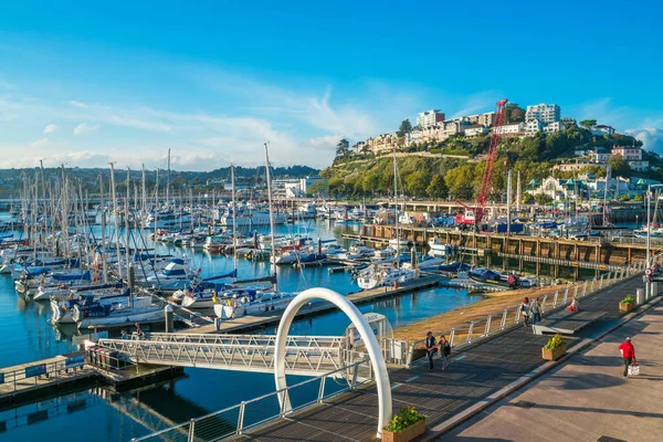 Güney Devon, İngiltere Torquay limanının görünümü