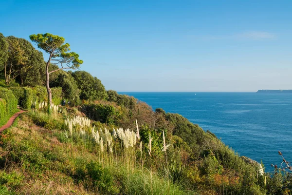 Sahil ve deniz Torquay, Güney Devon — Stok fotoğraf