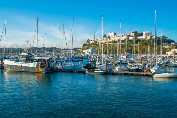Güney Devon, İngiltere Torquay limanının görünümü