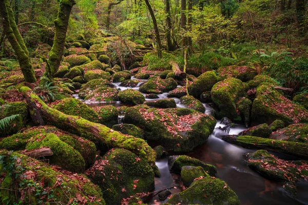 贝基瀑布英国德文郡达特穆尔国家公园 — 图库照片
