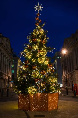 Christmas tree on Waterloo Place in London, England clipart