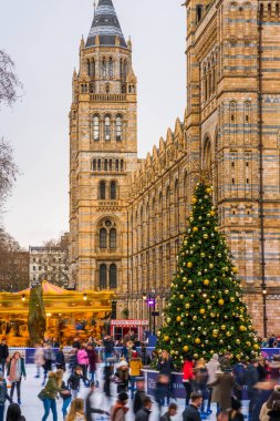 Ice rink and Christmas tree at National History Museum in London clipart