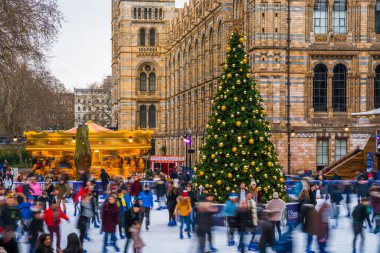 Buz pateni pisti ve Noel ağacı, Londra'da National History Museum