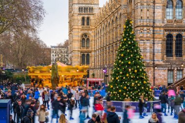 Buz pateni pisti ve Noel ağacı, Londra'da National History Museum