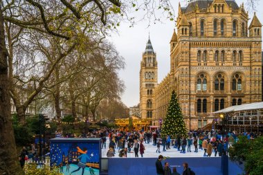 Buz pateni pisti ve Noel ağacı, Londra'da National History Museum