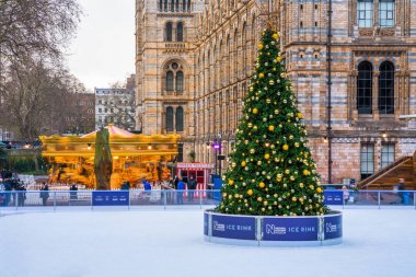 Buz pateni pisti ve Noel ağacı, Londra'da National History Museum