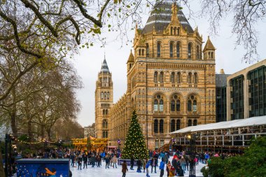 Ice rink and Christmas tree at National History Museum in London clipart