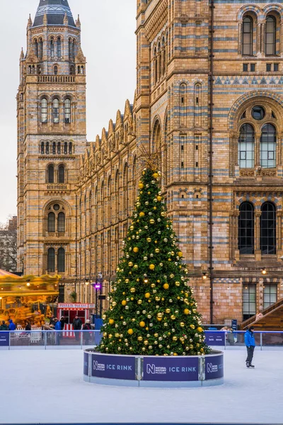 Ice rink and Christmas tree at National History Museum in London — Stock Photo, Image