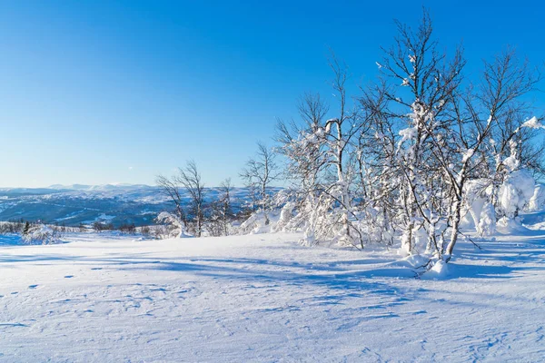 Vista del paisaje nevado en Beitostolen . — Foto de Stock