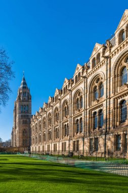 Doğal Tarih Müzesi, Londra İngiltere