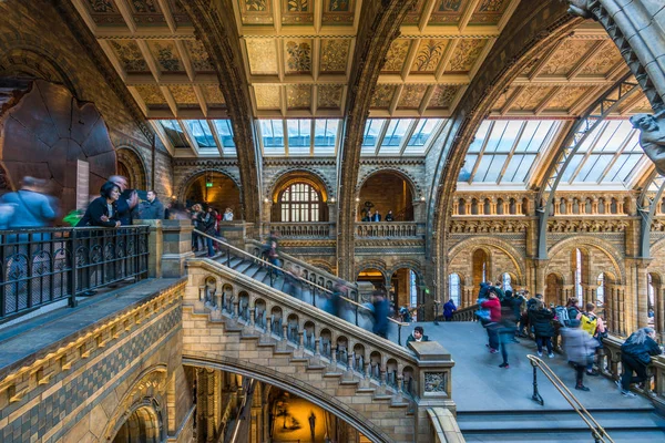 Doğal Tarih Müzesi, Londra İngiltere — Stok fotoğraf