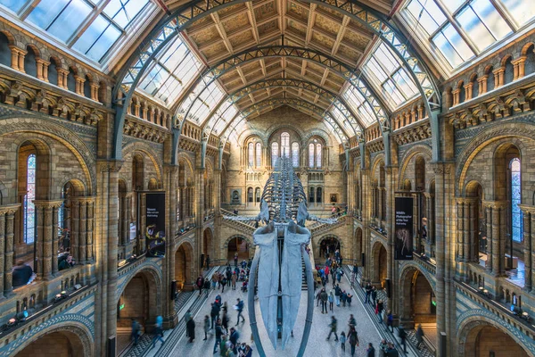 Doğal Tarih Müzesi, Londra İngiltere — Stok fotoğraf