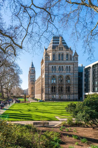 Doğal Tarih Müzesi, Londra İngiltere — Stok fotoğraf