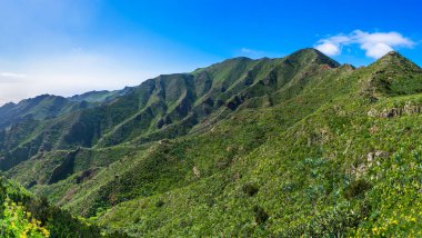 Tenerife Macizo de Teno dağlarda geniş panoramik manzaralı