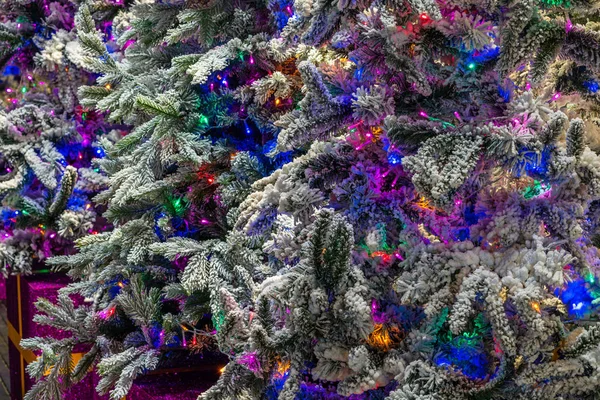 Closeup Beautifully Decorated Colorful Christmas Trees Texture Background — Stock Photo, Image