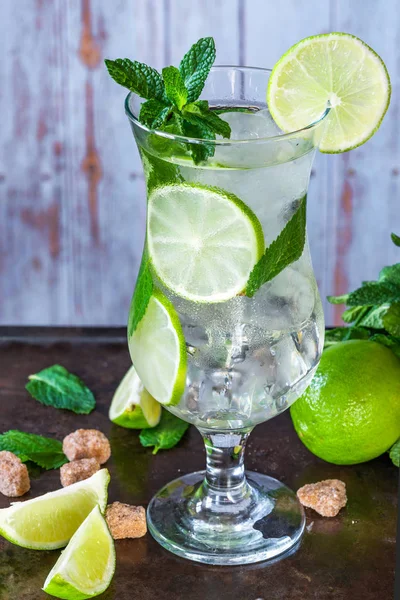 Naneli Limonlu Mojito Kokteyli Tazeleniyor — Stok fotoğraf