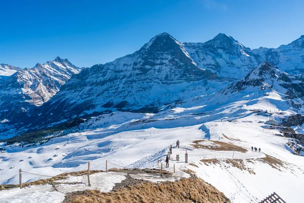 Grindelwald Suisse Janvier 2020 Les Randonneurs Empruntent Sentier Royal Walk — Photo