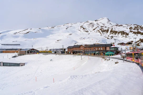 Grindelwald Schweiz Januari 2020 Utsikt Över Järnvägsstationen Kleine Scheidegg Belägen — Stockfoto