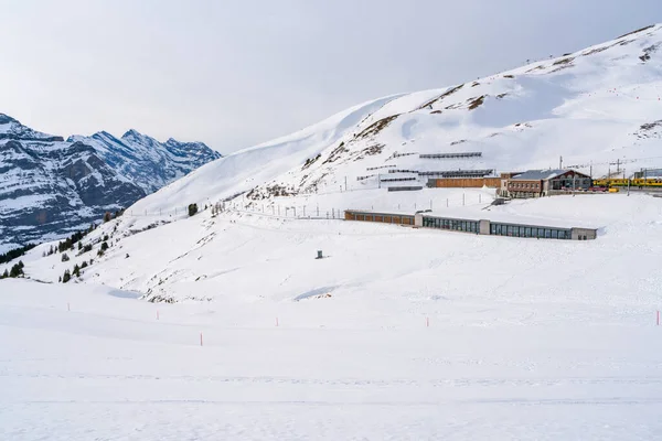 Grindelwald Schweiz Januari 2020 Utsikt Över Järnvägsstationen Kleine Scheidegg Belägen — Stockfoto