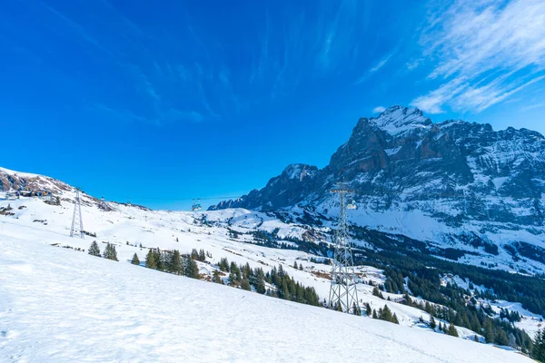 Grindelwald First Switzerland Ianuarie 2020 Peisaj Iarnă Primul Munte Din — Fotografie, imagine de stoc